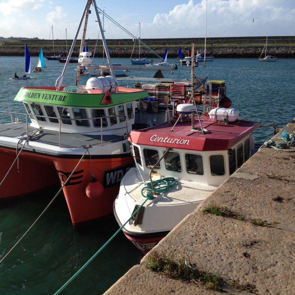 Help support the Fishing Community in Greystones to preserve the heritage of fishing in our town, and keep Greystones a fishing harbour!