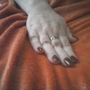 Billie Ann Wills - @wills_billie - Twitter