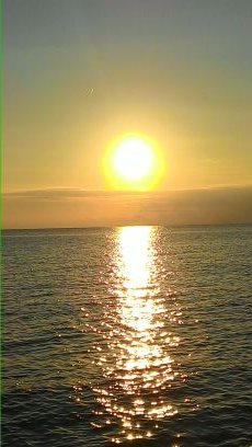 Mr_Scarface98's profile picture. 