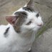 Andy (@quorn) Twitter profile photo