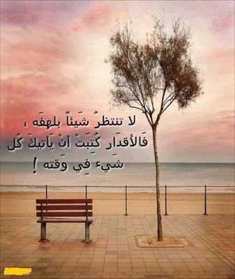 ‏السيره الحسنة كشجرة الزيتون لا تنمو سريعاً ولكنها تعيش طويلاً