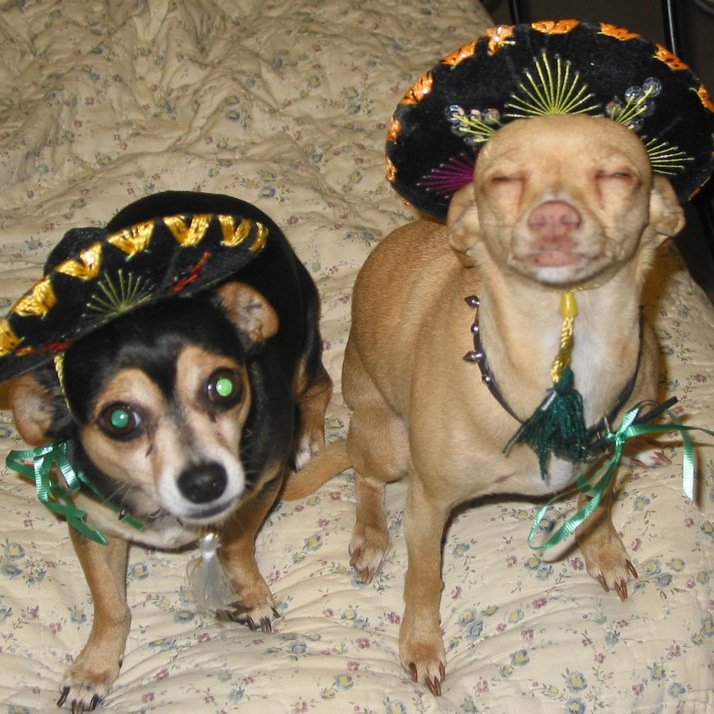 BruceVerfaillie's profile picture. 