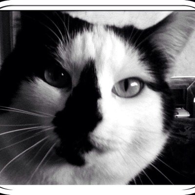 Momofmol's profile picture. 