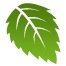 WildNectar Profile Picture