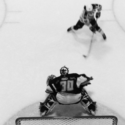 BradRob77's profile picture. GoldenHawk