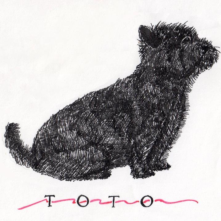 totototally's profile picture. 