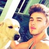 333 meio besta
