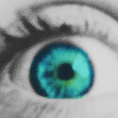 ashlynnfayth00's profile picture. 