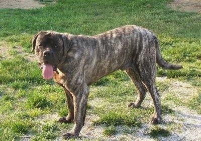 doshonne's profile picture. LAUGH AND LIVE!!!