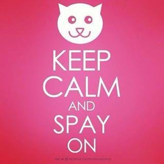 Providing FREE spay neuter surgeries to curb the number of strays and pets from low income families from being born into a life of misery and suffering.