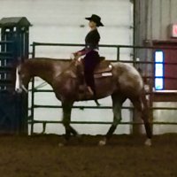 Ripon Equestrian (@riponequestrian) 's Twitter Profile