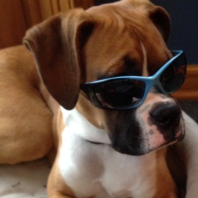 JJSdnek's profile picture. 