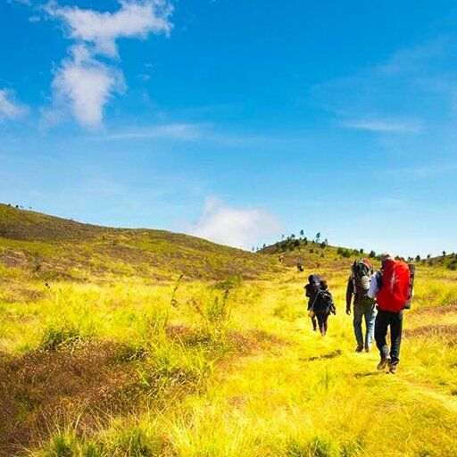 line drestorika
instagram drestorika
Love my life love my family love my job !!!
relawan @SS_BDG