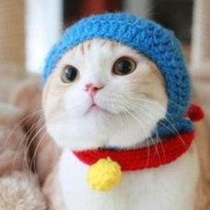 Hello there! I tweet fun news for you! Please visit my website for more stuff. Thank you!