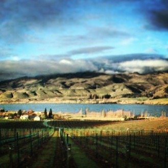 We love how wine brings people together. How it completes a meal, a moment, a memory. This passion led us to owning a small vineyard and living our dream.