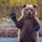 yogybearc's profile image