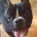 Nancy Hawks - @HawksNancy - Twitter