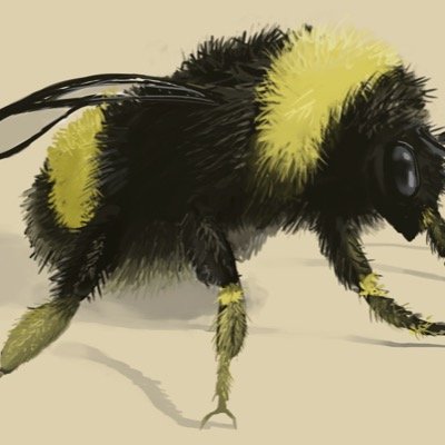 Bumblefluff Profile
