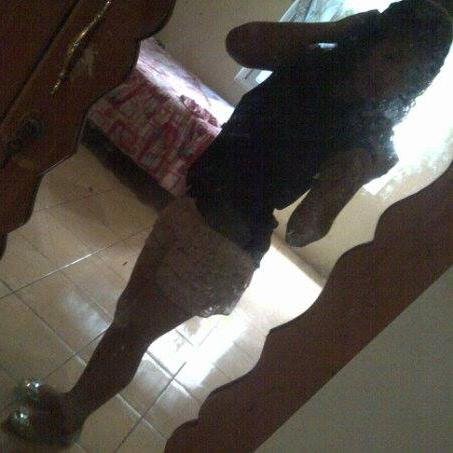 Amo a Justin Bieber. 3 Te amo mucho bebé.