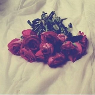ليس كل مايكتب ويُقرأ هنا يخصني..هي كلمات راقت لي ..💔 أوكل مافاض به القلم ع السطور 🕊