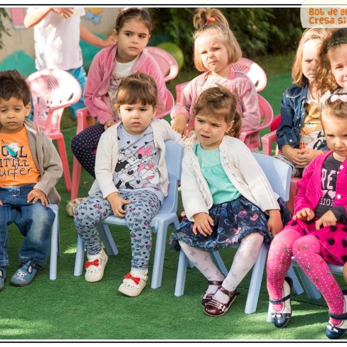 PCopilariei's profile picture. 