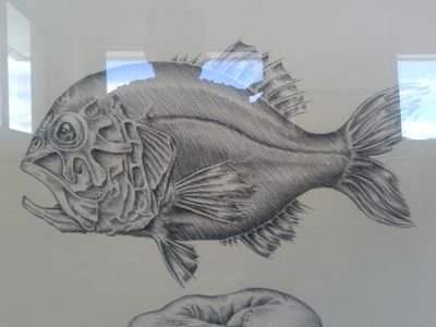 roughyslayer1's profile picture. Fishkiller