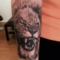 Alejandro Rodriguez (@alexcocacola4) 's Twitter Profile