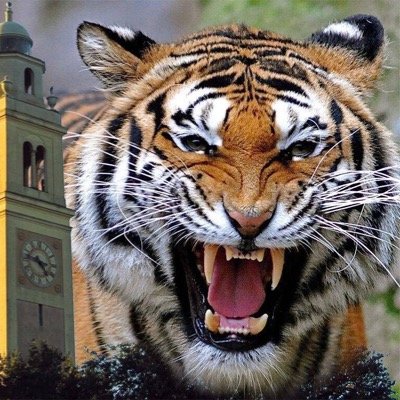 i like oil. american oil. black gold. beautiful crude. 
i like beer. i like socially liberal people. but fiscally conservative. i like lsu. i like the saints.