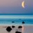 LIG_1020's profile image