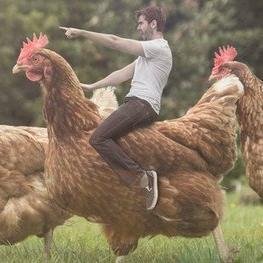 MasterOfChicke's profile picture. 