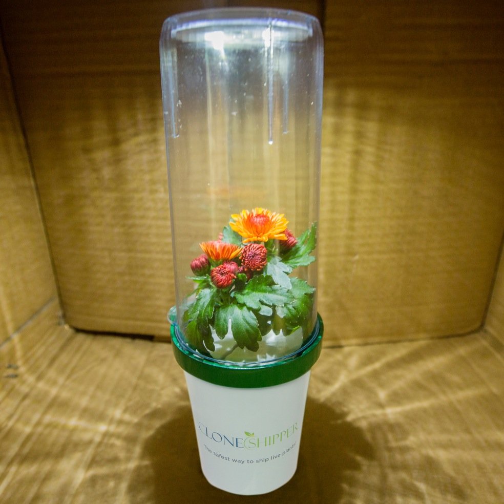 Transport your plants safely and securely with a Live Plant Shipper. Clone Shipper - the only way to go.