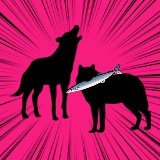 さぎりさんのプロフィール画像