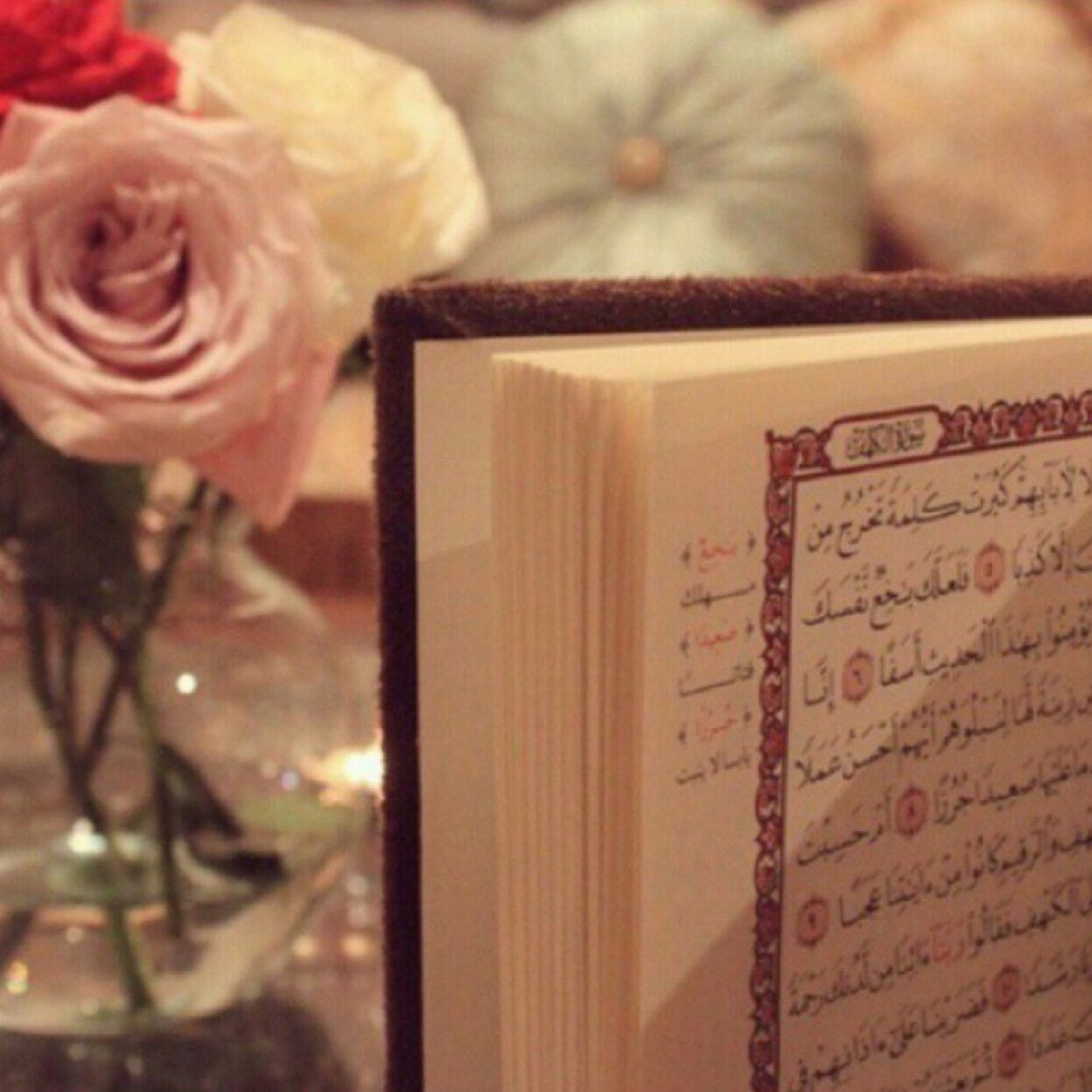 ثقافتك لنفسك واخلاقك للجميع