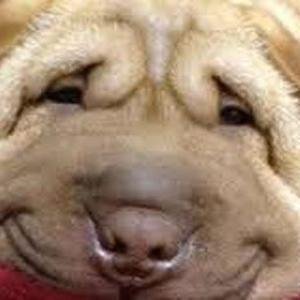 Hello there! I tweet fun news for you! Please visit my website for more stuff. Thank you!