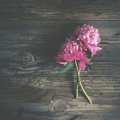 بعيداً عن ضجيج آلحزن وآلهموم سمعتُ منآدياً ينآدي : ألاَ بذكر آلله تطمئنّ آلقلوب