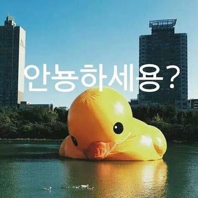 예뻐라