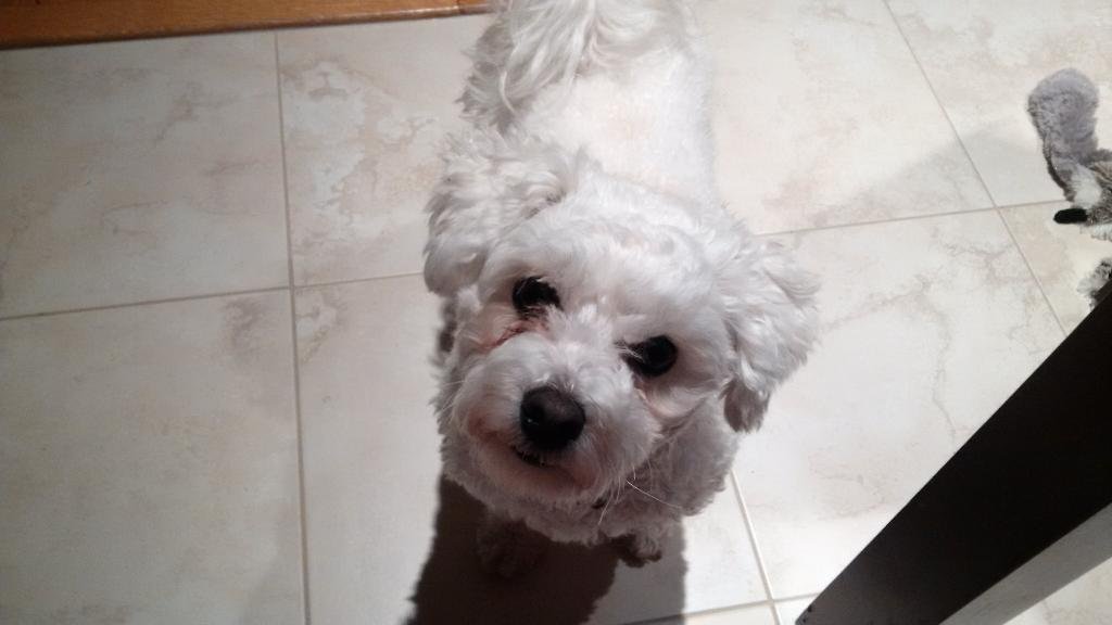 TerryStew's profile picture. 