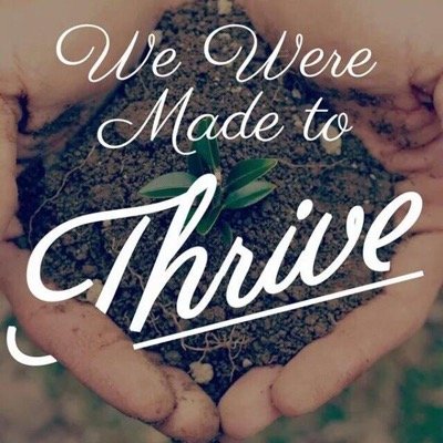 thrive4lyfe's profile picture. 