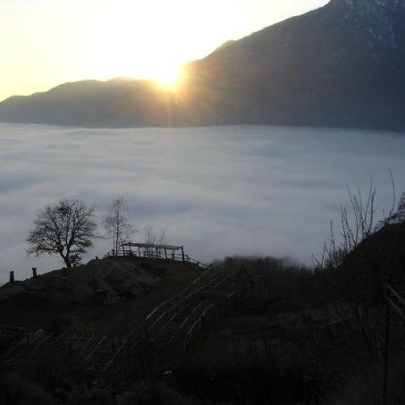 Veggentetardoc's profile picture. 