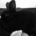 cortney phillips - @iLuvKoolaidd - Twitter