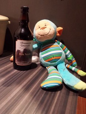 Hi.  I'm Murdoch Monkey.  I travel with @ihackedwhat all over the place.  I want to share my adventures with you