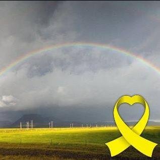 SJ_nara's profile picture. 노무현 노회찬 이재명 박원순 ...이 일꾼인 나라 시국선언
역사바로잡기, 더 좋은 내일,
모두가 행복한 사회