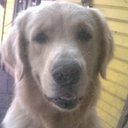 Ana Karina Wolf - @rua_hetu - Twitter