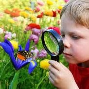 We're raising funds to create a beautiful Wildlife Garden in Sidford. Please look at our Facebook page 'The Sidford Wildlife Garden Project' and help! :)