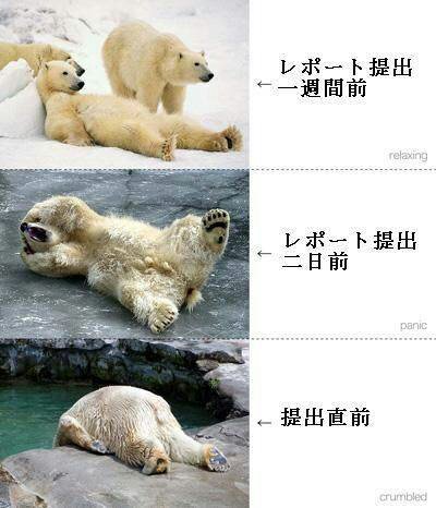 フォローしないでください
