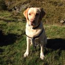 kellie cameron - @kellieoops - Twitter