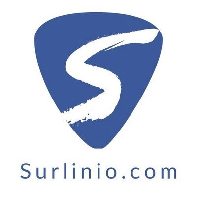 Surlinio helpt bedrijven met het definiëren en implementeren van hun #socialmedia strategie. En het herbouwen van websites zodat ze ook mobiel bruikbaar zijn.