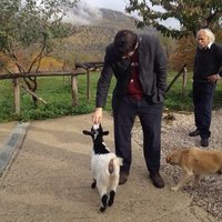 Enrico Vignoli (@enricovignoli) 's Twitter Profile