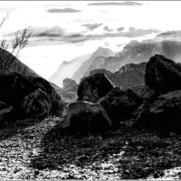 lucillocarloni's profile picture. 