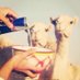هقـوه وخابـت ♪ (@fahothi) Twitter profile photo هقـوه وخابـت ♪ (@fahothi) Twitter profile photo